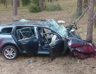 Miniatura: Rodzinna tragedia na drodze. Zginęły...