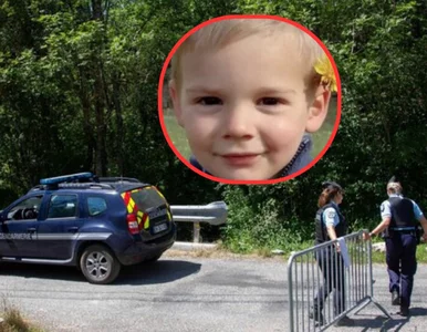 Miniatura: Zaginięciem 2,5-latka żyło pół Europy. Po...