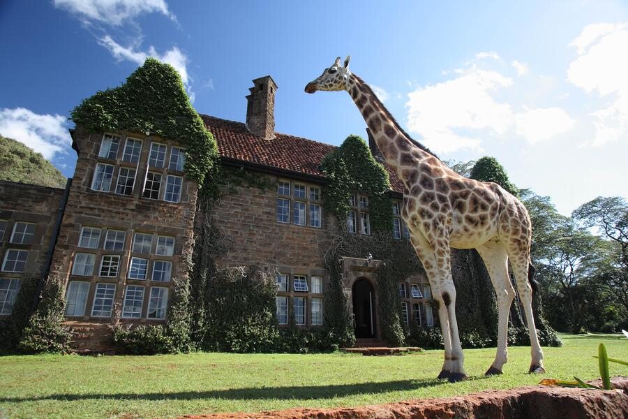Hotel położony w parku żyraf w Nairobii, w Kenii, od 500$/noc