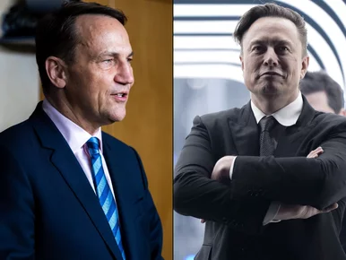 Miniatura: Sikorski ostro odpowiedział Muskowi....