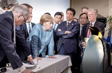 Pingwin zamiast Trumpa 