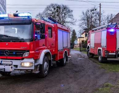 Miniatura: Tragiczny wypadek na A1. Dym widać było z...
