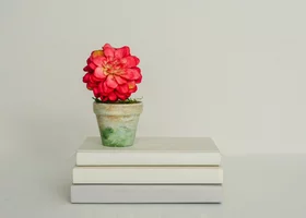 Miniatura: Quiz ortograficzny niczym miszmasz. Test...