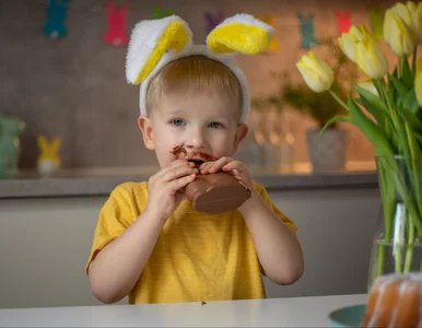 Miniatura: Zajączek coraz bardziej popularny. Co...