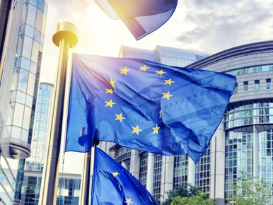 Miniatura: Europa właśnie zderza się ze ścianą....