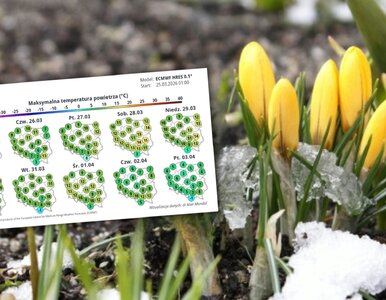 Miniatura: W Wielkanoc ulepimy bałwany? IMGW stawia...