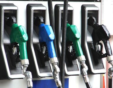 Miniatura: Lotos znowu podnosi ceny paliw