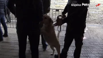 Funkcjonariusze zatrzymali 22 osoby, które miały przy sobie narkotyki 