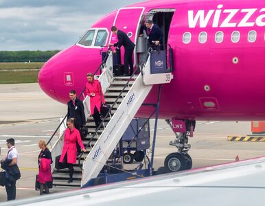 Wizz Air chce poszerzyć ofertę połączeń. Na liście życzeń Polska