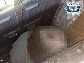 Miniatura: Przez 16 lat ukrywał się przed policją....