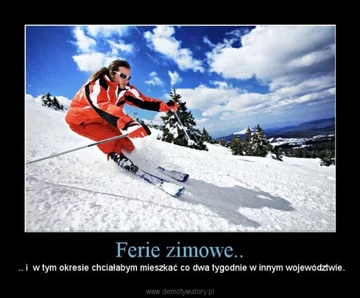 Ferie zimowe 2020 - memy 