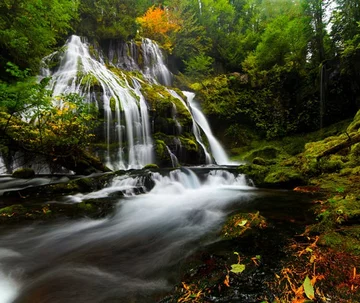 fot. http://worldinsidepictures.com