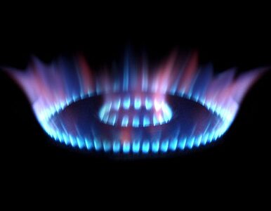 Miniatura: Jest szansa na obniżkę cen gazu