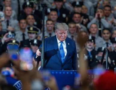 Miniatura: Jednego dnia Trump zraził dwa sojusznicze...