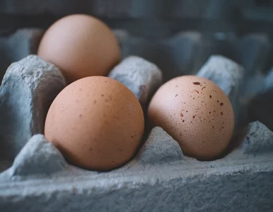 Miniatura: Salmonella na skorupkach jaj. Cała partia...