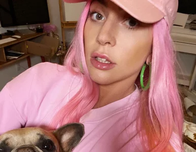 Miniatura: Za porwaniem psów Lady Gagi stoją...