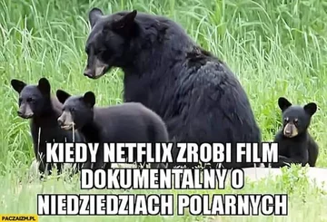 Mem atakujący Netfliksa za poprawność polityczną 
