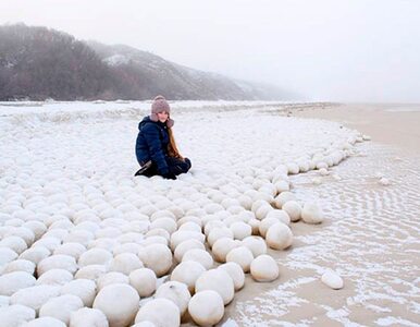 Miniatura: Tysiące ogromnych "śnieżek" na brzegu...