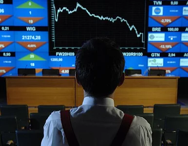 Miniatura: Awaria na GPW. Znamy przyczynę