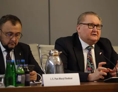 Miniatura: Польща підтримує Україну в приєднанні до...