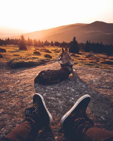 Honza Rehacek i jego pies 