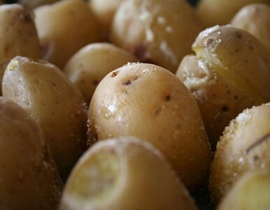 Miniatura: Ziemniaki o połowę tańsze niż przed rokiem