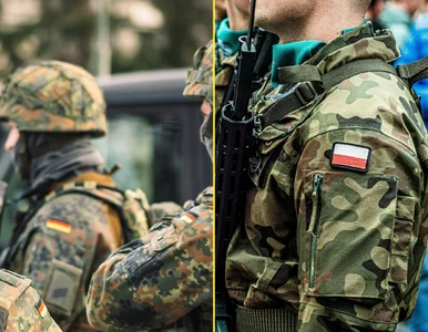 Miniatura: Niemcy rezygnują z kontrowersyjnych...