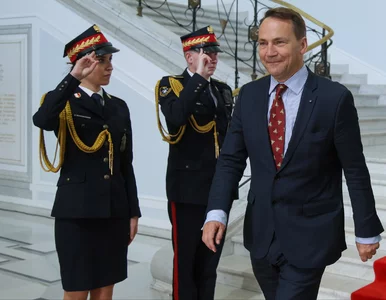 Miniatura: Radosław Sikorski „delfinem” Donalda...