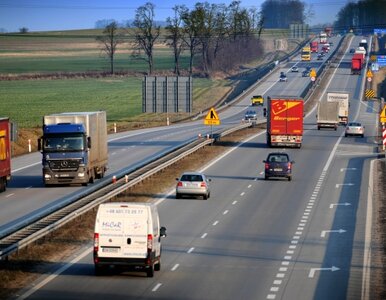 Miniatura: 1913 kilometrów autostrad. Gdzie? W Polsce...