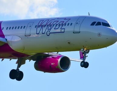 Miniatura: Wizz Air ma problem z samolotami. Aż 45...