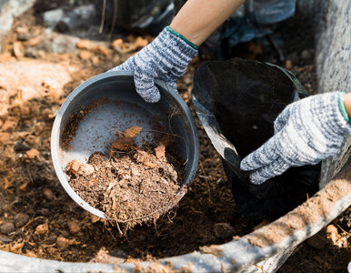 Miniatura: Nie ruszaj kompostu w ciemno. Jeden prosty...