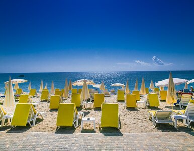 Miniatura: Last minute w uwielbianym przez Polaków...