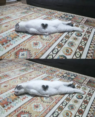 Miniatura: Pod prysznicem, na suszarce i do góry...