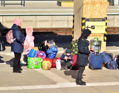 Miniatura: Sądny dzień dla cudzoziemców w Polsce....