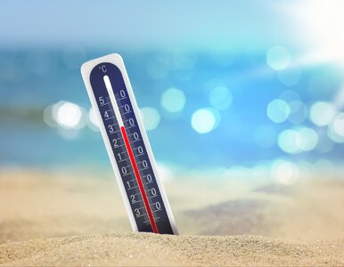 Miniatura: Jedziesz tam na urlop? Zastanów się dwa...