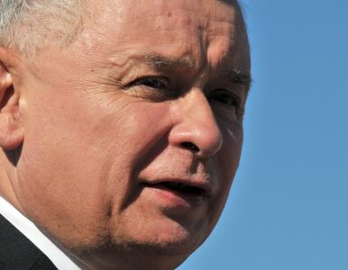 Miniatura: Kamiński: Jarosław Kaczyński nie będzie...