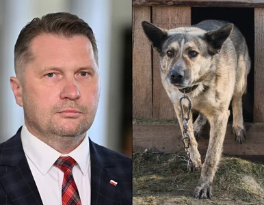 Miniatura: Czarnek broni trzymania psów na...