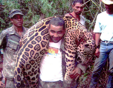 Miniatura: Dentysta zatrzymany za zabijanie jaguarów....