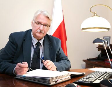 Miniatura: Witold Waszczykowski zostanie europosłem?...