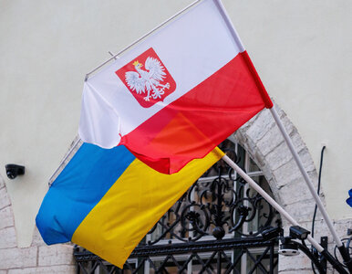 Miniatura: Spór z Polską o UPA i rzeź wołyńską....
