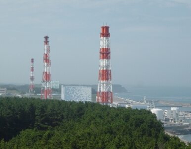 Miniatura: Japończycy instalują wentylatory w Fukushimie