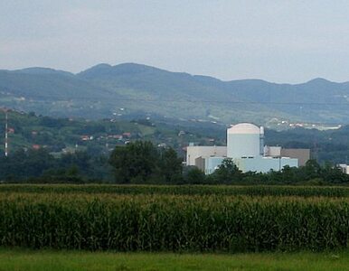 Miniatura: Słoweńska elektrownia jądrowa znów działa