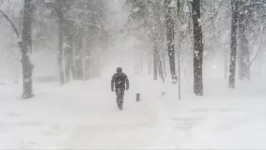 Miniatura: Śnieżyce uderzą dziś w Polskę. W tych...