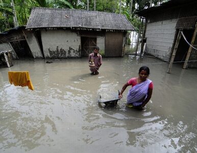 Miniatura: Powódź pustoszy Indie. 33 osoby nie żyją