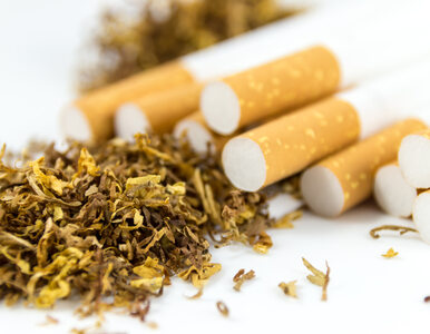 Nie tylko rak płuc – jakim chorobom sprzyja palenie?