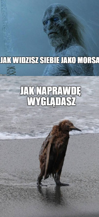 Mem z morsowania 