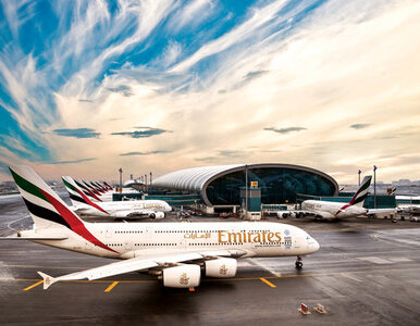 Miniatura: Wartość marki Emirates wzrasta czwarty rok...