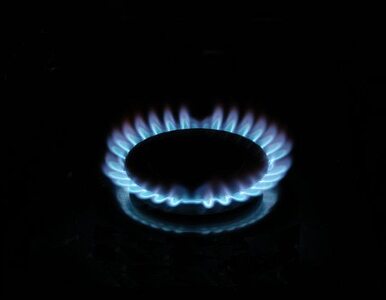 Miniatura: Gazprom obniża ceny gazu
