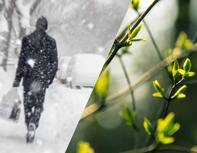 Miniatura: Wiosna opóźniona? Synoptycy nie mają...