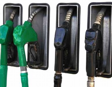 Miniatura: Ceny benzyny spadają. Autogaz drożeje